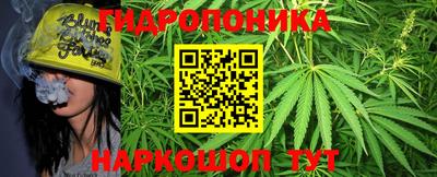 трава Когалым