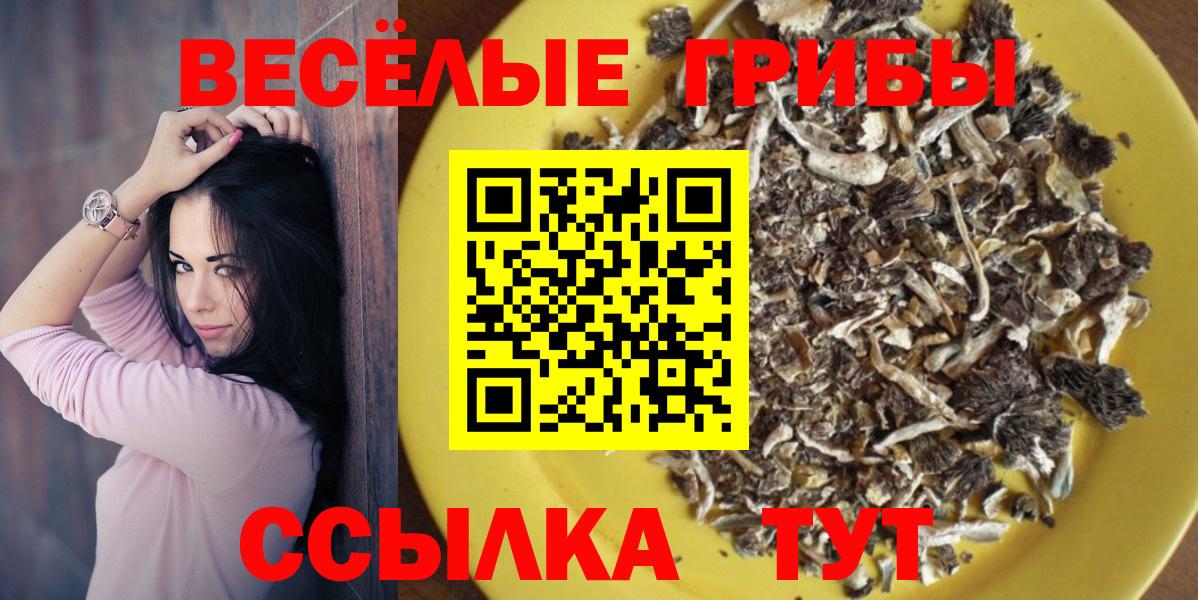 Псилоцибиновые грибы мухоморы Вязники
